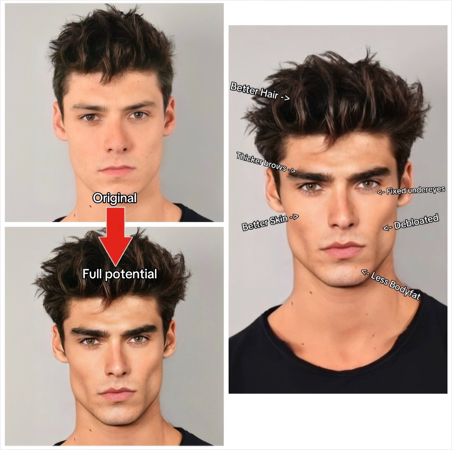 Facial Potential Projection (Morph)